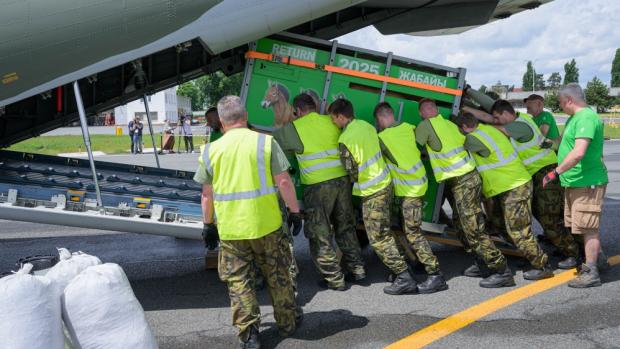 Chovatelé Zoo Praha a vojáci Armády České republiky nakládají koně do letounu. Foto Petr Hamerník, Zoo Praha