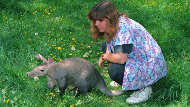 Photo: Vladimír Motyčka, Prague Zoo