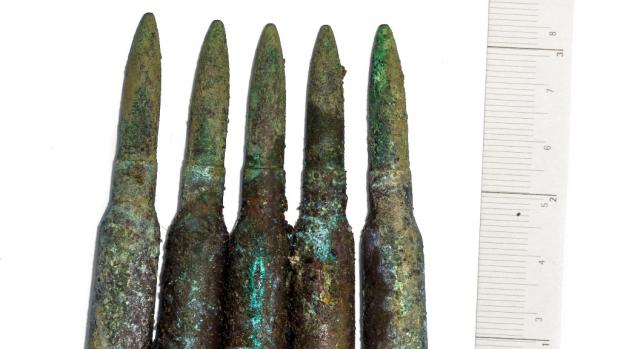 Photo: Miroslav Bobek, Prague Zoo