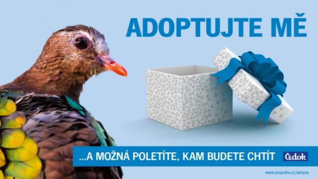 Adopční kampaň 2014