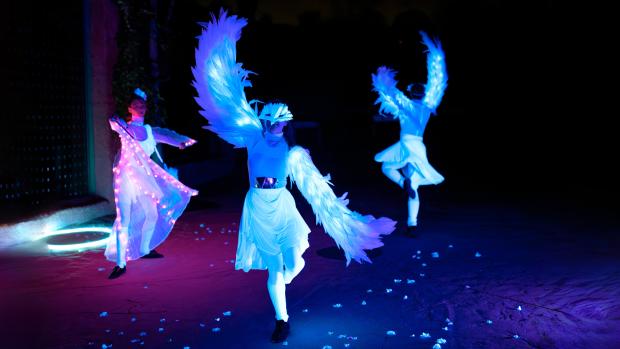 Světelná show při svátku světel Diwali. Foto: Petr Hamerník, Zoo Praha