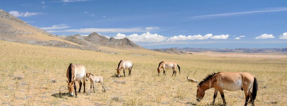 Pomáháme jim přežít