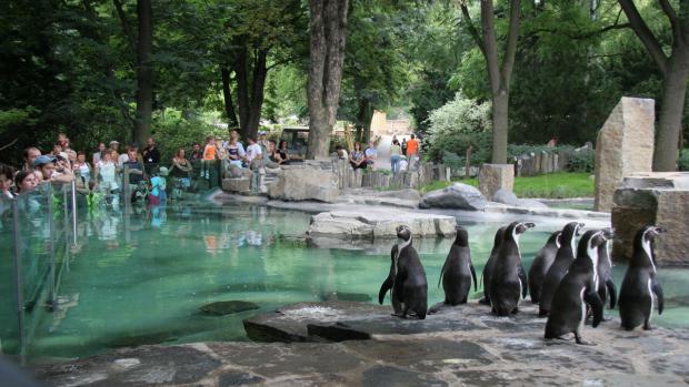 Outside of Pavilion of Penguins, photo: Prague Zoo´s Archive
