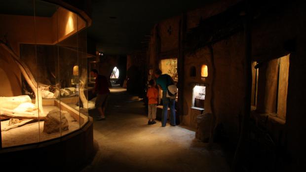 Africa from Near, photo: Tomáš Adamec, Prague Zoo