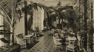 Palmový salon na dobové pohlednici z italského hotelu Florence. Foto: Miroslav Bobek, Zoo Praha