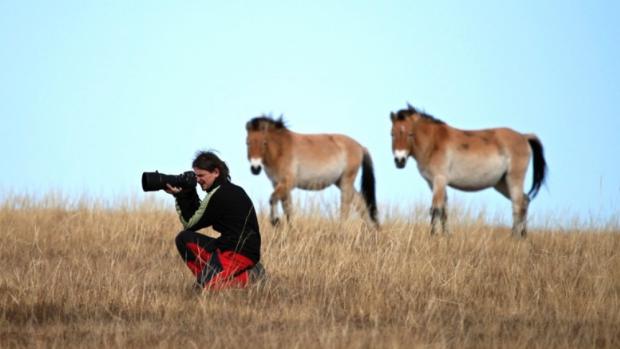 Foto (c) Miroslav Bobek