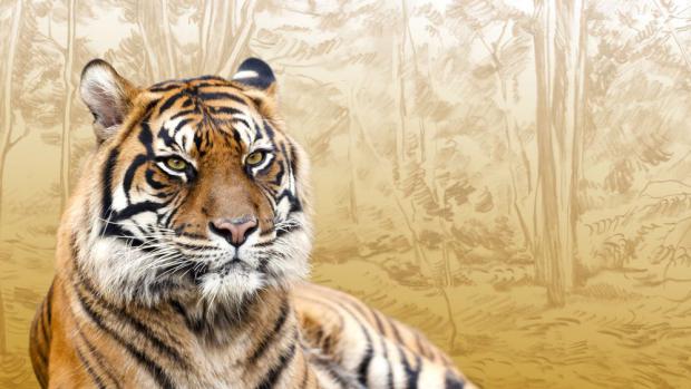 Divočina v Praze - navštivte Pavilon šelem nebo jiný z našich deseti pavilonů 