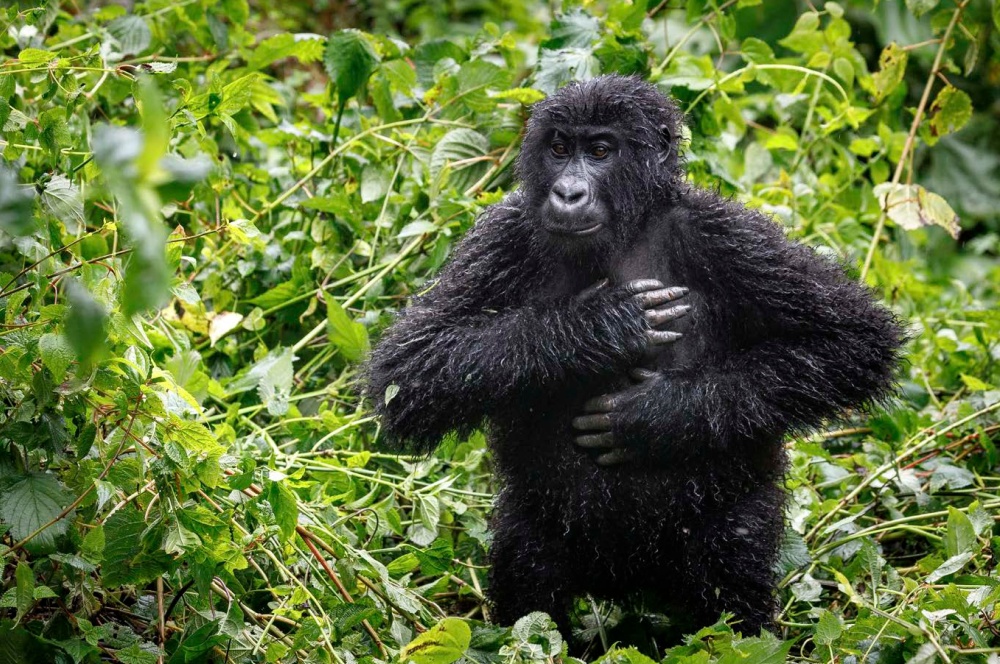 Photo: Miroslav Bobek