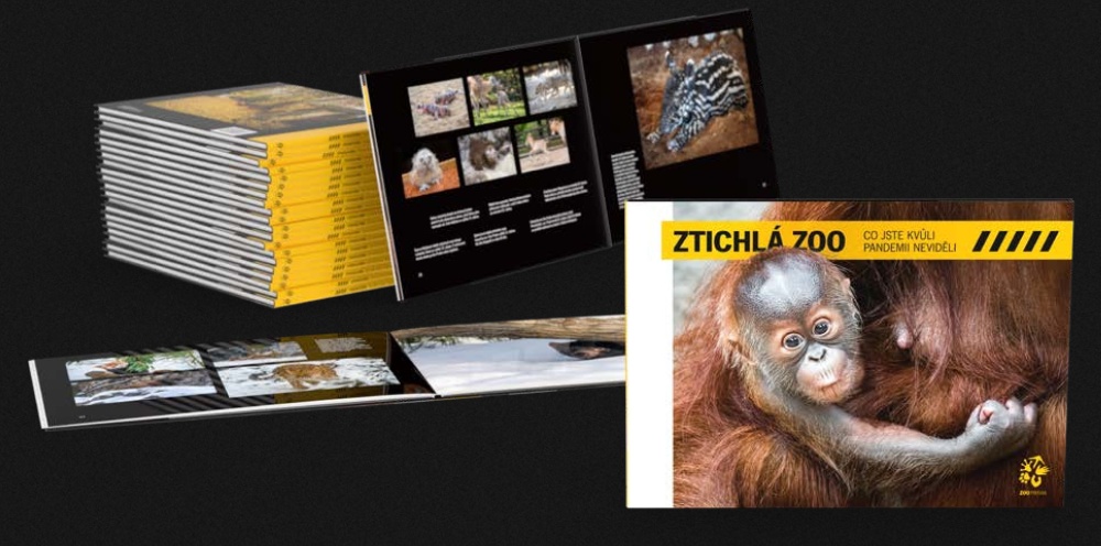 Photo: Miroslav Bobek