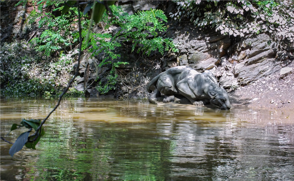 Pršet začalo v neděli 11. srpna, voda kulminovala ve středu 14. srpna odpoledne. Již v pondělí byla v časných ranních hodinách zahájena evakuace prvních z více než tisícovky zvířat obývajících dolní část areálu zoo. Za nepřetržitého deště museli chovatelé mnohá zvířata doslova vynášet z ubikací. Photo: archiv Zoo Praha