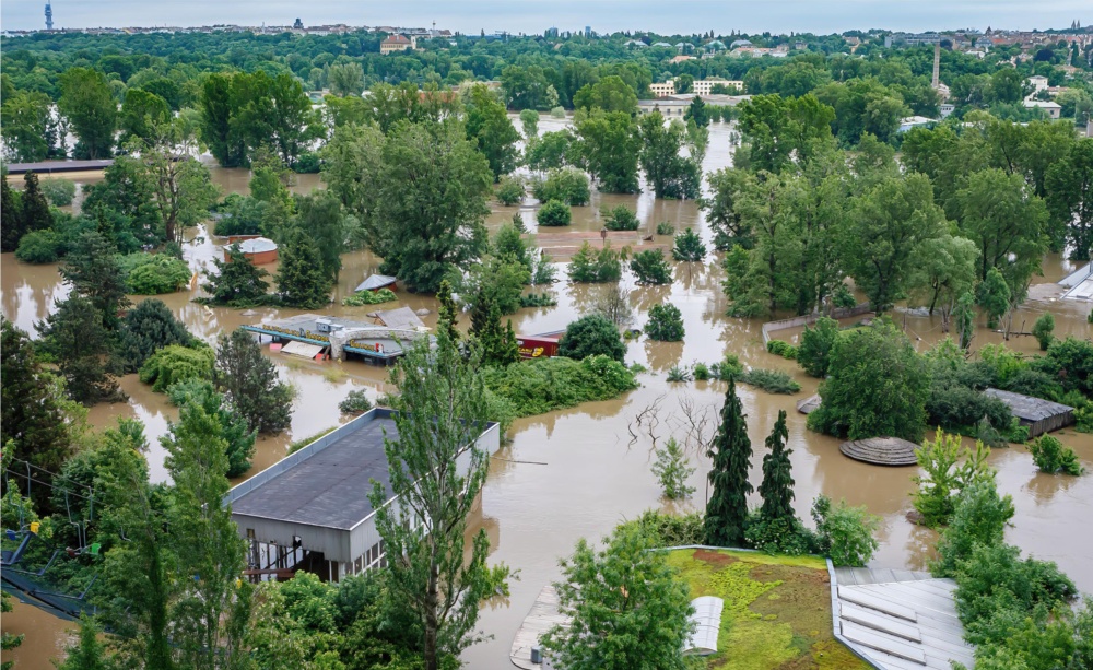 Po necelých jedenácti letech se povodňová noční můra vrátila. Hladina Vltavy začala hrozivě stoupat 2. června 2013 a kulminovala o dva dny později. Povodeň naštěstí nedosáhla takové výše jako v roce 2002, ale pro pracovníky zoo i externí pomocníky znamenala stejné vypětí. Photo: Tomáš Adamec