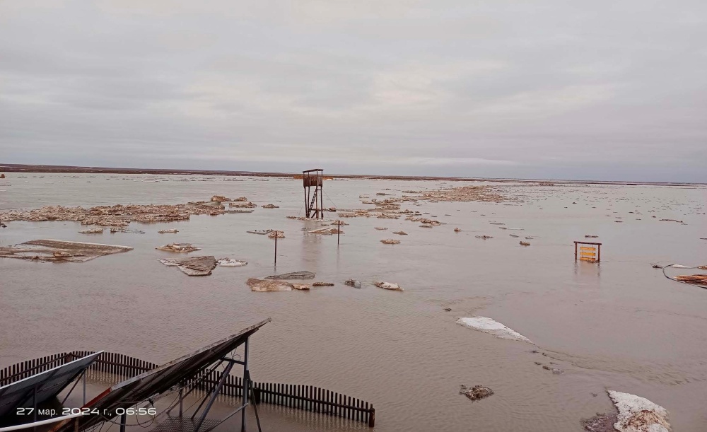 Foto: Albert Salemgarejev, ACBK