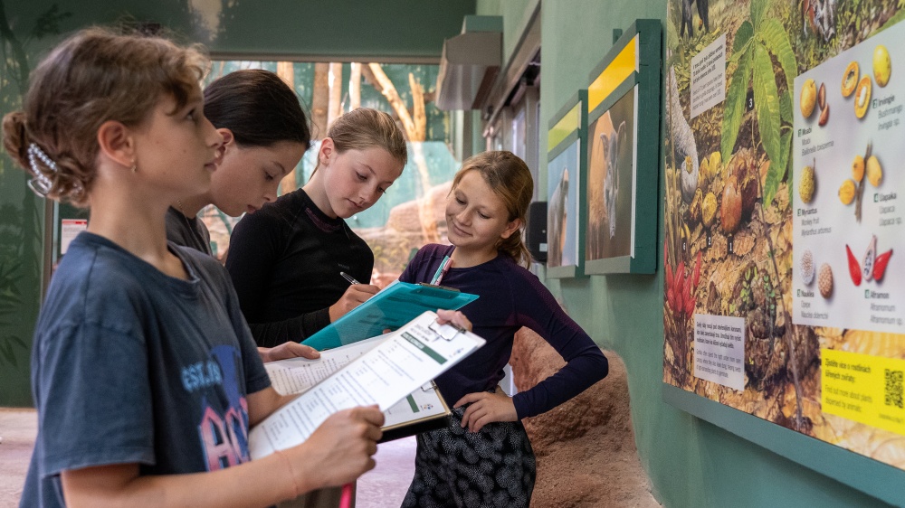 Foto: Oliver Le Que, Zoo Praha