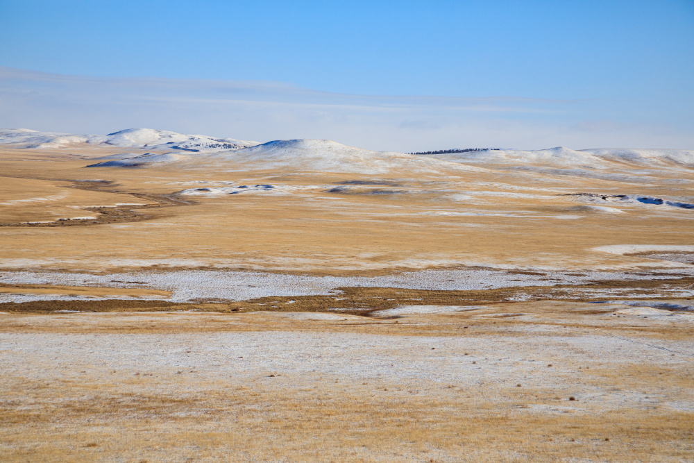 Vrátit koně Převalského na východ Mongolska se tým Zoo Praha společně s tamními kolegy rozhodl v roce 2019. Od té doby podnikli několik průzkumných výprav a vybrali vhodnou lokalitu – Údolí klášterů. Rozšířením druhu na další území dojde k posílení celkové populace divokých koní v přírodě. Foto: Miroslav Bobek