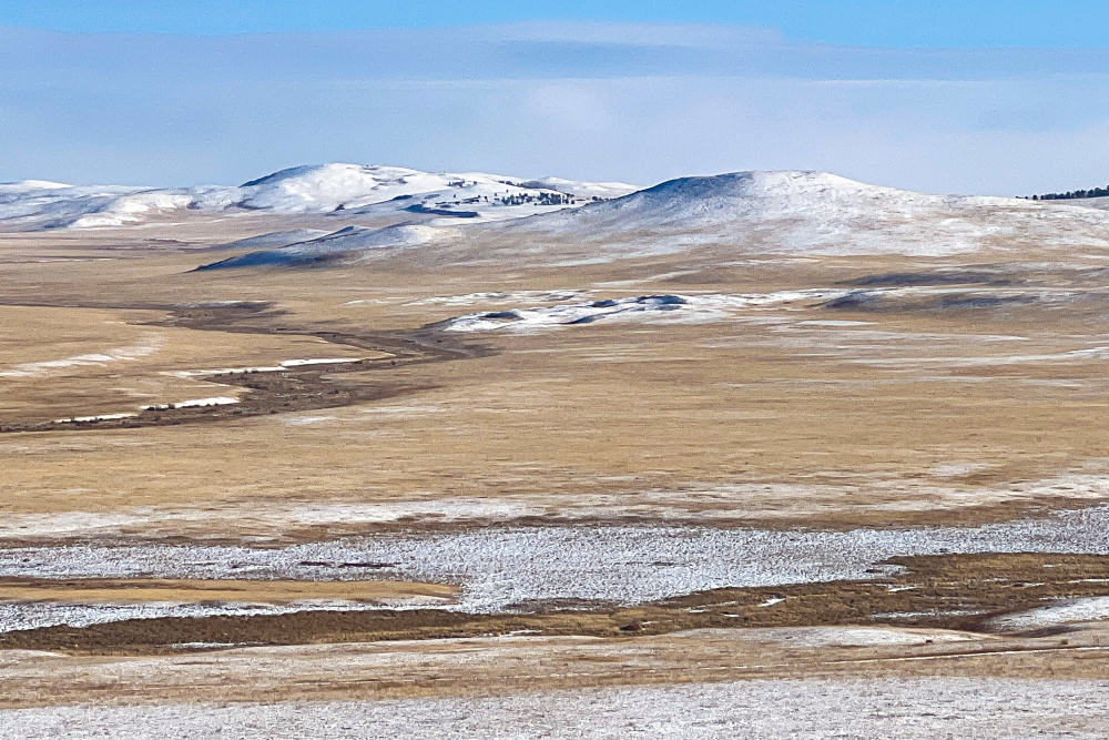 Výhled do krajiny na východě Mongolska, kam plánujeme reintrodukovat koně Převalského. Foto Miroslav Bobek Výhled do krajiny na východě Mongolska, kam plánujeme reintrodukovat koně Převalského. Foto Miroslav Bobek