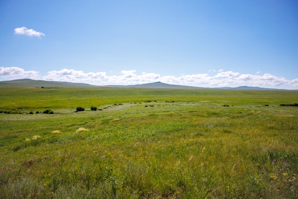 K prvnímu nálezu křižáka pruhovaného (Argiope bruennichi) v Mongolsku došlo na mírném svahu nad meandry Hákovité řeky. Foto: Miroslav Bobek, Zoo Praha K prvnímu nálezu křižáka pruhovaného (Argiope bruennichi) v Mongolsku došlo na mírném svahu nad meandry Hákovité řeky. Foto: Miroslav Bobek, Zoo Praha