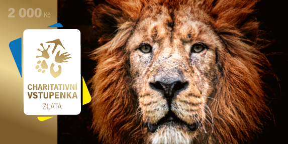 V prodeji jsou čtyři nominální hodnoty vstupenek – 100 Kč, 500 Kč, 1 000 Kč nebo 2 000 Kč. Zdroj Zoo Praha