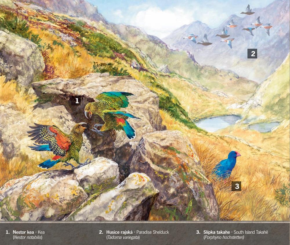 Ilustrace: Pavel Procházka