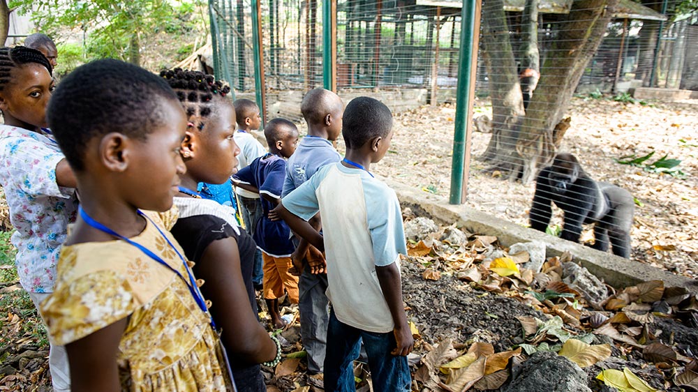 Foto: Khalil Baalbaki Foto: Khalil Baalbaki