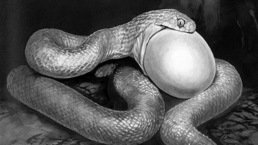 Vejcožrouti se živí výhradně ptačími vajíčky.