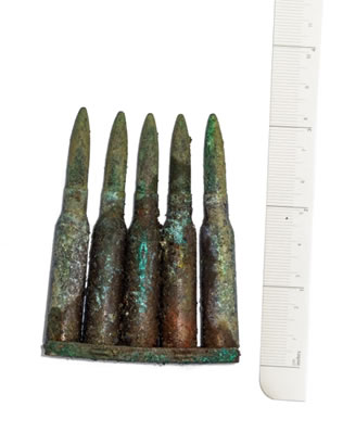 Foto: Miroslav Bobek, Zoo Praha