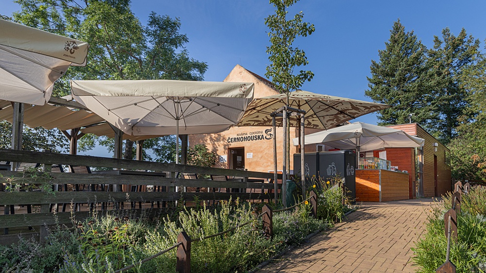 Foto: Tereza Mrhálková, Zoo Praha Foto: Tereza Mrhálková, Zoo Praha