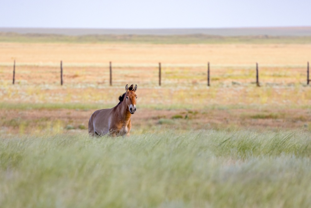 Foto: Miroslav Bobek