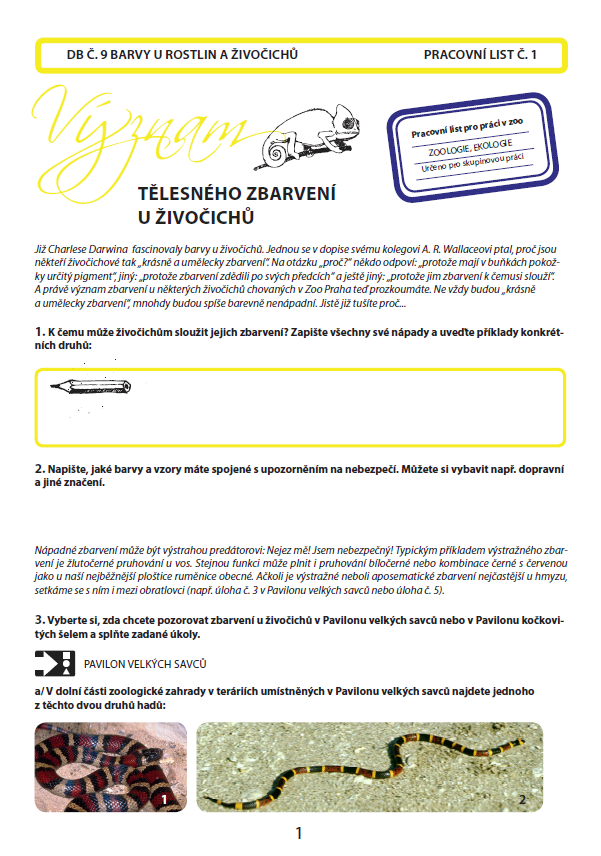 Ukázka z pracovního listu