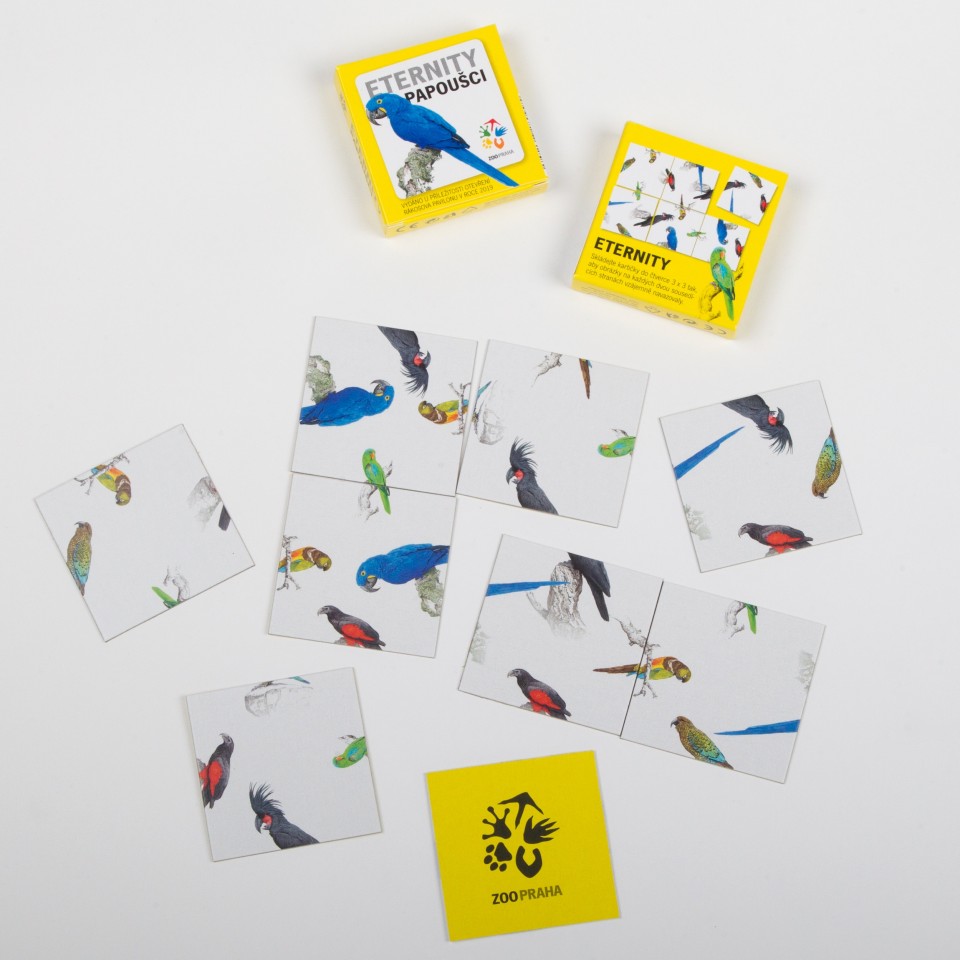 Skládanka Eternity. Foto: Tereza Mrhálková, Zoo Praha