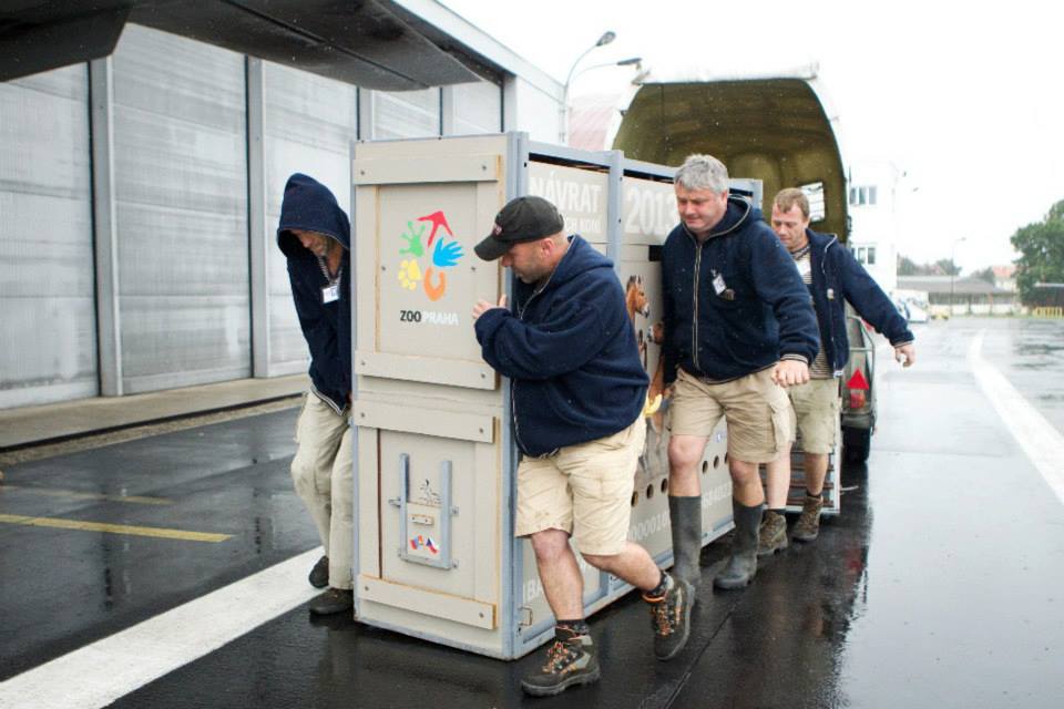 Foto (c) Tomáš Adamec, Zoo Praha
