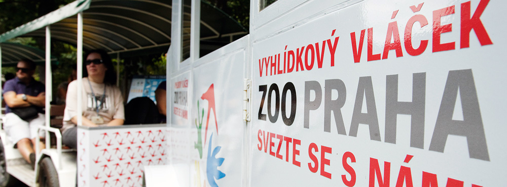 Познавательно-развлекательные программы