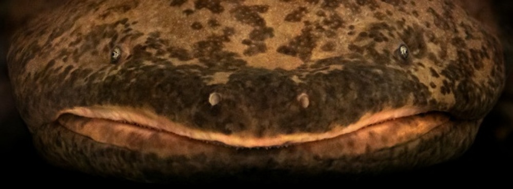 Vzácní a jedineční