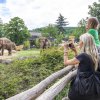 Foto: Petr Hamerník, Zoo Praha