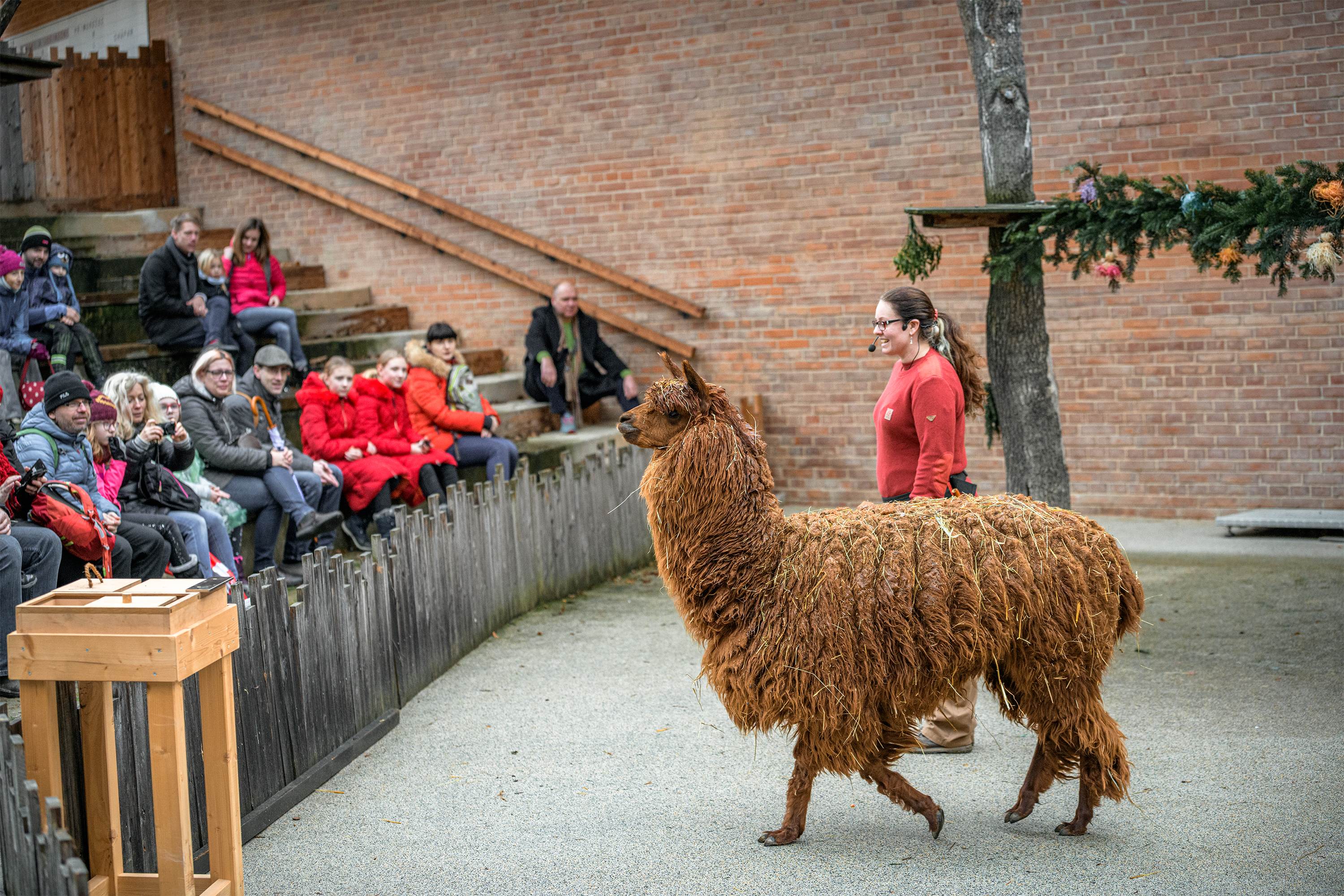 Amfiteátr pro komentované ukázky. Foto: Petr Hamerník, Zoo Praha