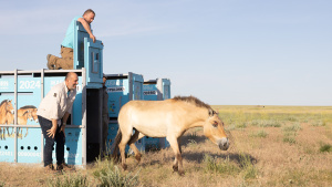 Pomáháme jim přežít